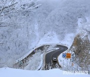 겨울 끝자락 눈내린 한계령[쿠키포토]