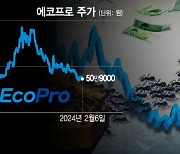 "60% 빠졌다" 에코프로 개미 눈물의 손절매…전문가 "아직도 비싸"