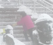 눈 내린 한라산 1100고지