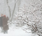 눈 내린 한라산 1100고지