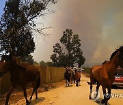 Chile Fires