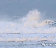 올해 하반기에 지진해일 대응 정부 합동 훈련 실시