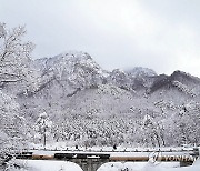 설악산 설경