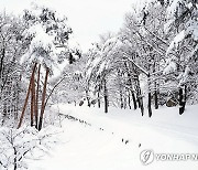 폭설 내린 설악산