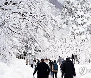 설악산 설경 장관…방문객 몰려 차량 곳곳 지·정체