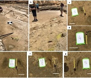 모로코서 10만년된 인류 발자국 발견…"조개 찾던 사람들인듯"
