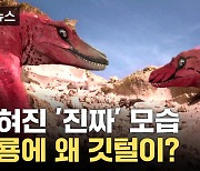 [자막뉴스] 날 수 없는 공룡, 왜 깃털이 있었을까?