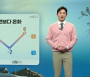 [기업] 알리익스프레스 한국 판매자 모집..."수수료 면제"