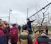 이천시, 복숭아 동계전정 현장실습 교육 실시