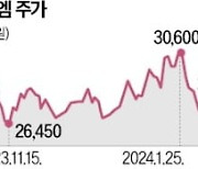 "멕시코 거점으로 북미 공략…3년내 ESL 매출 1조 달성"