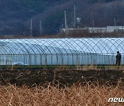 비닐하우스 개폐기 낀 70대 사망...중대재해법 아닌 산안법 수사