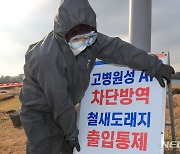 제주 철새도래지서 고병원성 AI 검출