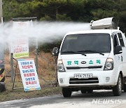 제주 고병원성 조류인플루엔자 검출