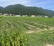 창원시, 토종농산물 소득보전 직불사업 신청·접수