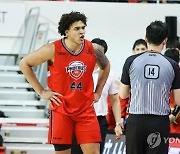 '비신사적 행위·KBL 비방' 현대모비스 프림, 제재금 230만원