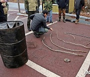 속리산국립공원 일대 불법 밀렵행위 성행…"내달까지 집중 단속"