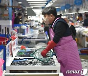 광어야 참돔아 잘 있니