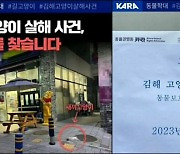 기르던 고양이 두 마리 12층서 던져 죽인 30대, 징역 1년·집유 2년