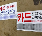 금감원 "사회초년생, 카드 리볼빙 사용 주의 필요"