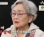 "하반신 마비" 김영옥, 손자 '무면허 음주' 사고…8년째 돌보는 중