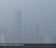 부산 미세먼지 영향 ‘조기 사망’ 24명 추정