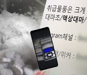 마약범죄도 공익신고 대상에 포함…최대 5억 보상금