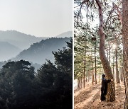 [이 계절 이 여행] 강릉을 사랑한 얼굴들