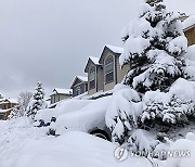 Winter Weather Arizona