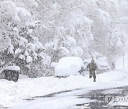 Winter Weather Arizona