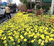 CAMBODIA LUNAR NEW YEAR