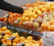 설 앞두고 과일값 급등