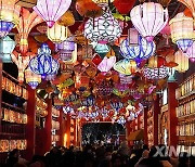 CHINA-SPRING FESTIVAL-LANTERNS (CN)