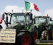 Italy Europe Farmers