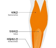 [매거진] 블랙맘바를 울린 부상, 아킬레스 건 파열