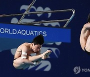 Qatar Swimming Worlds