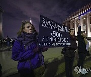 France Deadly Domestic Violence