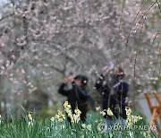 설 연휴 첫날 정원 산책