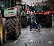 SPAIN FARMERS PROTEST