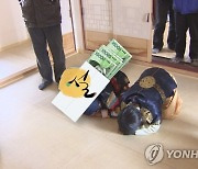 세뱃돈으로 공모주 청약 넣어볼까... 에이피알·케이엔알시스템 출격