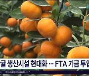 감귤 생산시설 현대화.. FTA 기금 투입