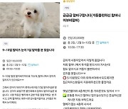 '시급 1만5000원' 전 부치기, 10명 몰렸다…설연휴는 꿀알바?