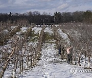 Winter Weather Canada