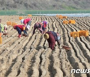 그린바이오 농업 생산액 6년간 연평균 2.2% 역성장…생산성 저하 우려