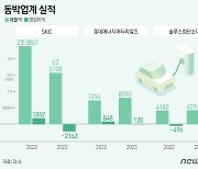 中 저가공세에 위기감 고조…동박업계, 하이엔드 들고 반격