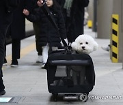 "집에 홀로 남았어요"…연휴 기간 고민되네