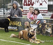 USA PUPPY BOWL