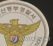 음주 운전에 중앙선 넘어 '쾅'…바퀴 빠지자 걸어서 도망