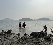 고흥 갯벌서 새벽에 홀로 조업하던 60대 숨진 채 발견