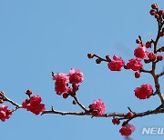 부산, 대체로 맑은 날씨…낮 최고기온 12도