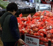 사과 가격 고공행진